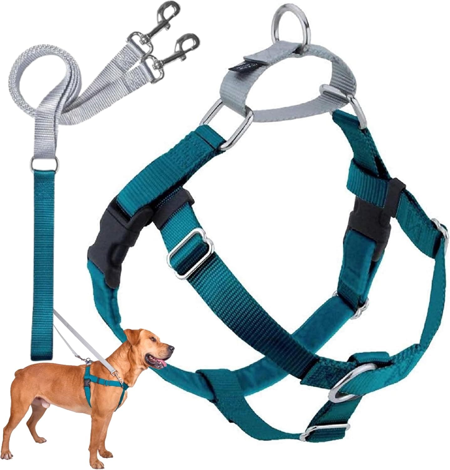 2 Hounds Design Freedom No Pull Harness and Leash Set