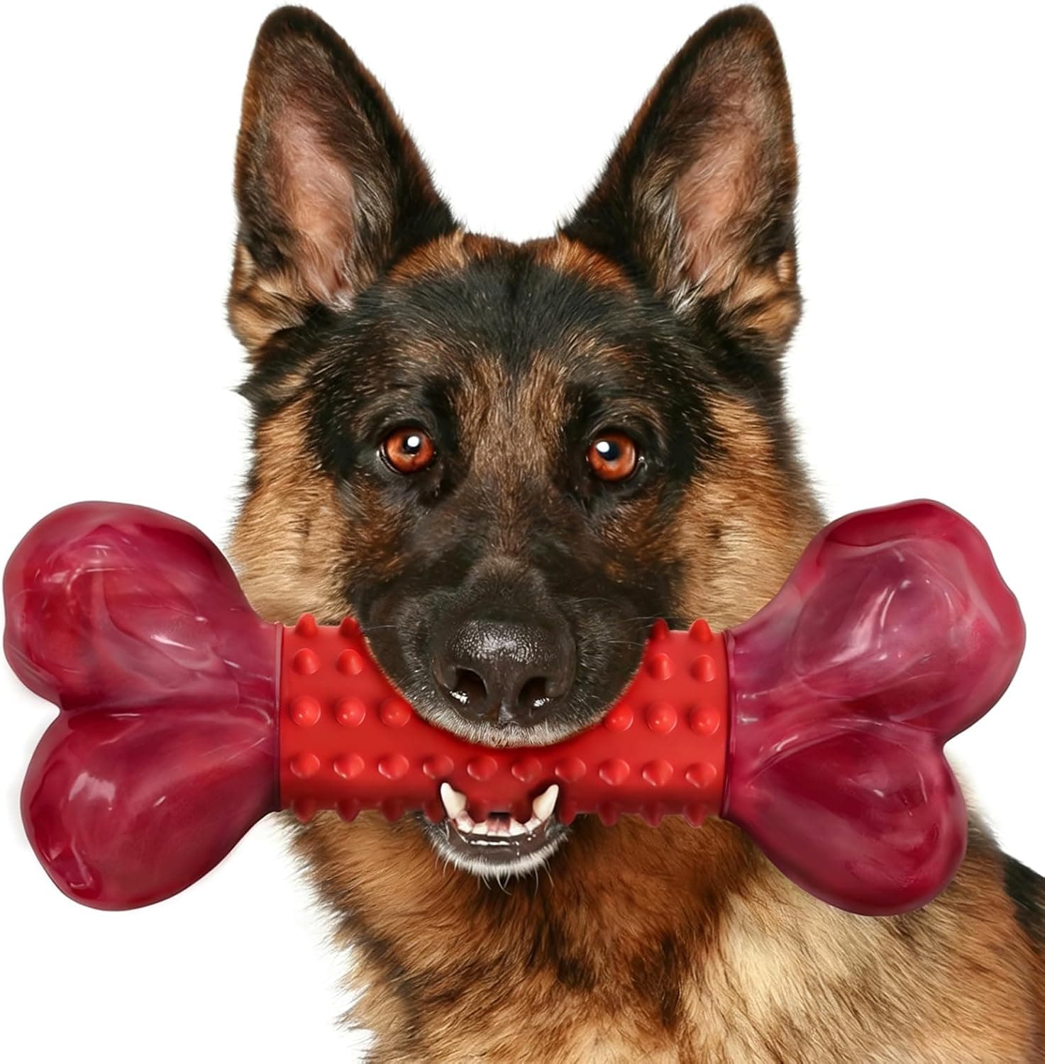 Apasiri Beef Flavored Dog Bone Chew Toy