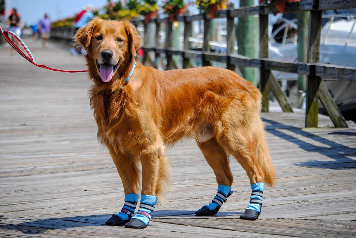 Bark Brite Lightweight Neoprene Paw Protector Dog Boots Designed for Comfort and Breathability in 5 Sizes, Blue Large