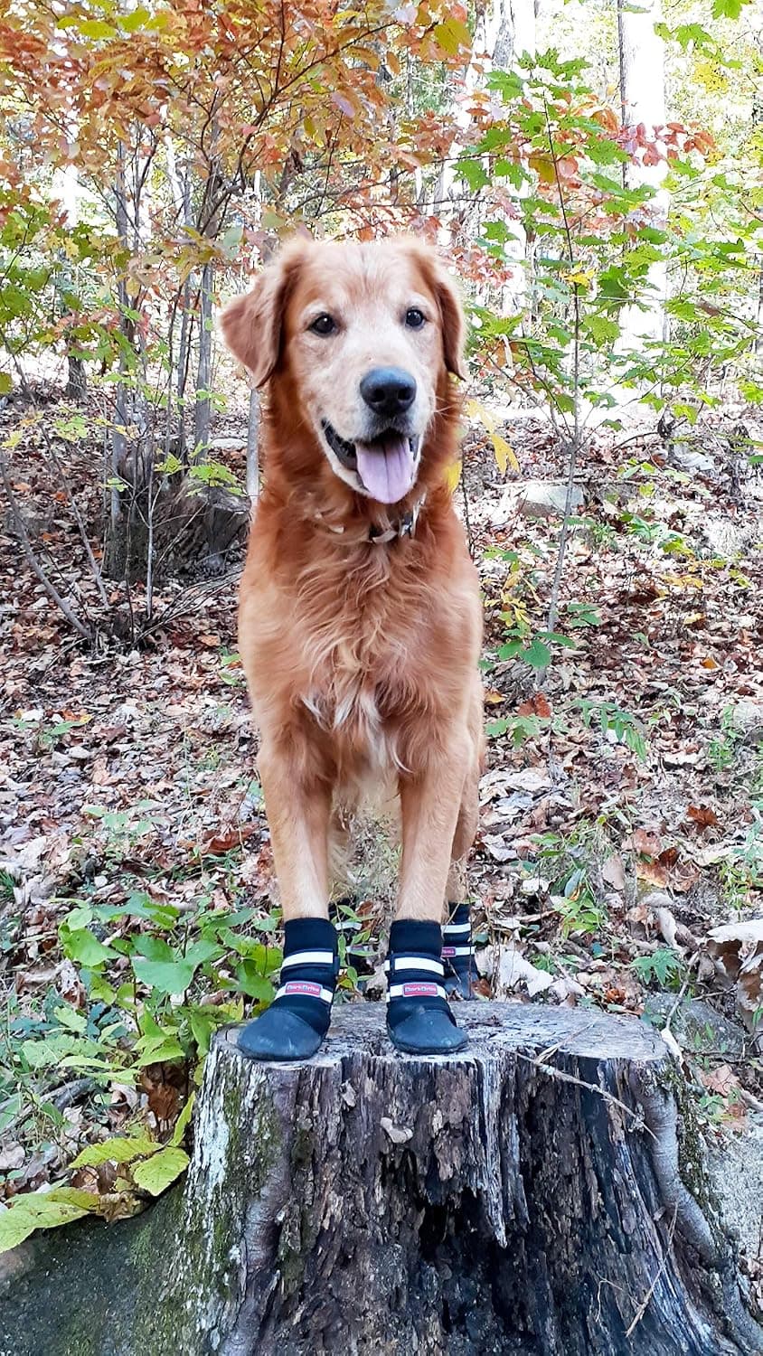 Bark Brite All Weather Neoprene Paw Protector Dog Boots with Reflective Straps in 5 Sizes, Black Large