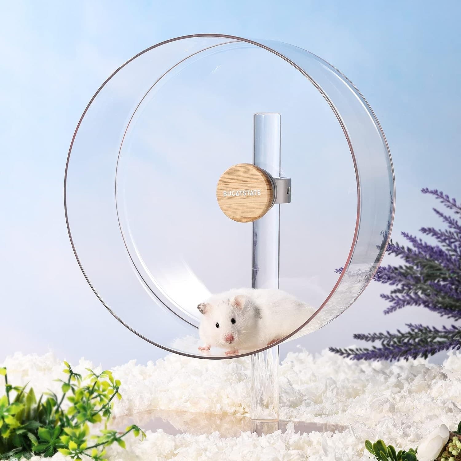 White hamster inside the clear BUCATSTATE wheel on its height-adjustable acrylic stand