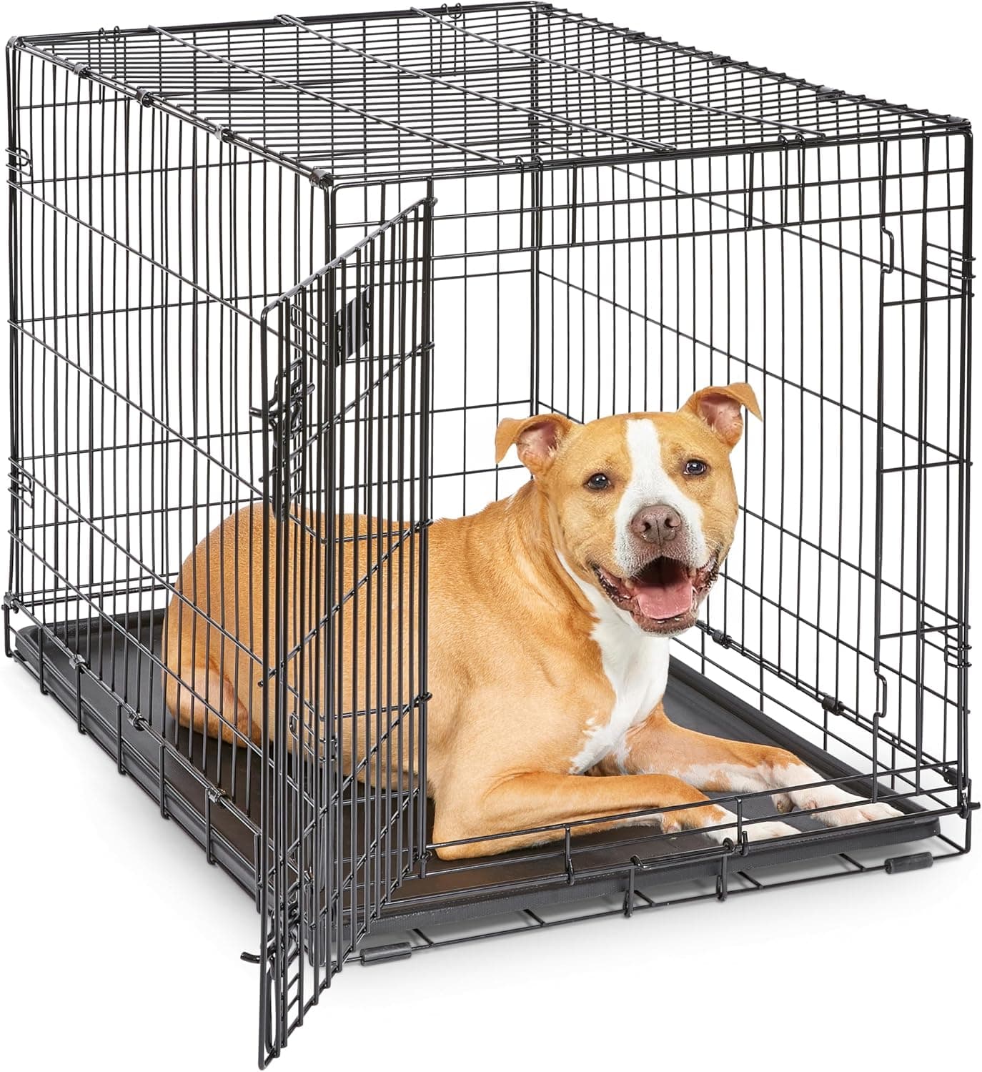 MidWest iCrate 36-Inch Folding Dog Crate