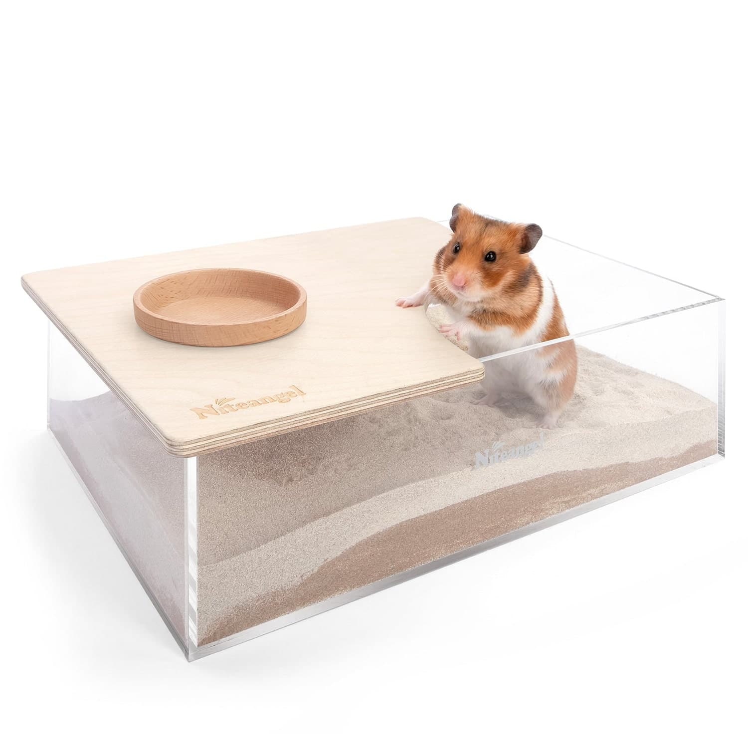 Large clear Niteangel rectangular sand-bath box with a hamster at the open side of its half lid