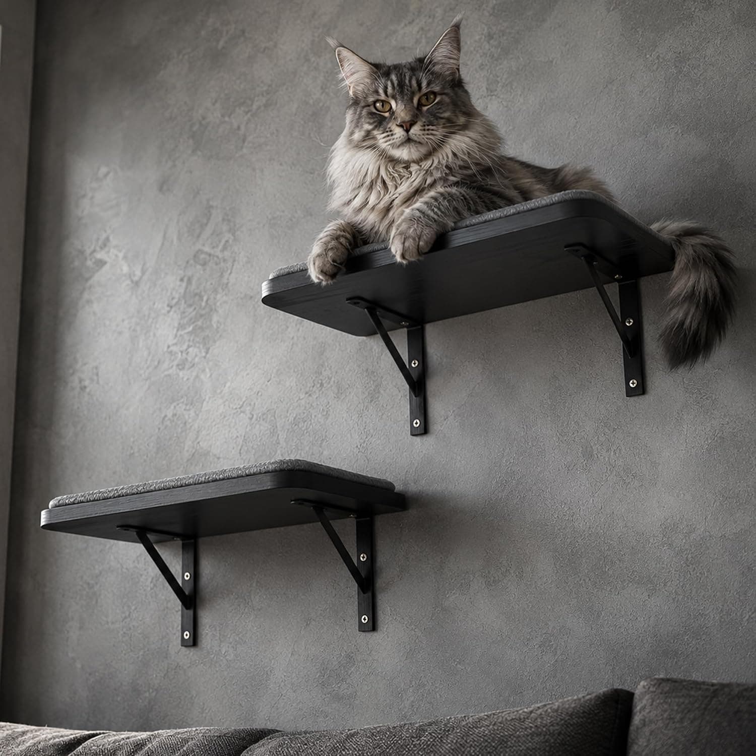 PELUOMOZ Cat Wall Shelves Set of 2, Black Solid Wood Cat Window Perch with Grey Sisal Cushion, Wall-Mounted Space-Saving Climbing Bed for Cats