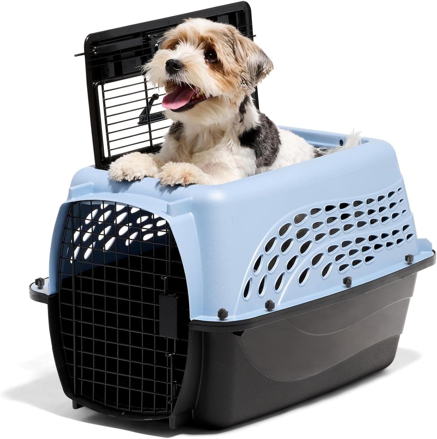 Petmate Two-Door Plastic Pet Kennel for Small Dogs and Cats, Top and Front Loading, Made in USA, 24 inch