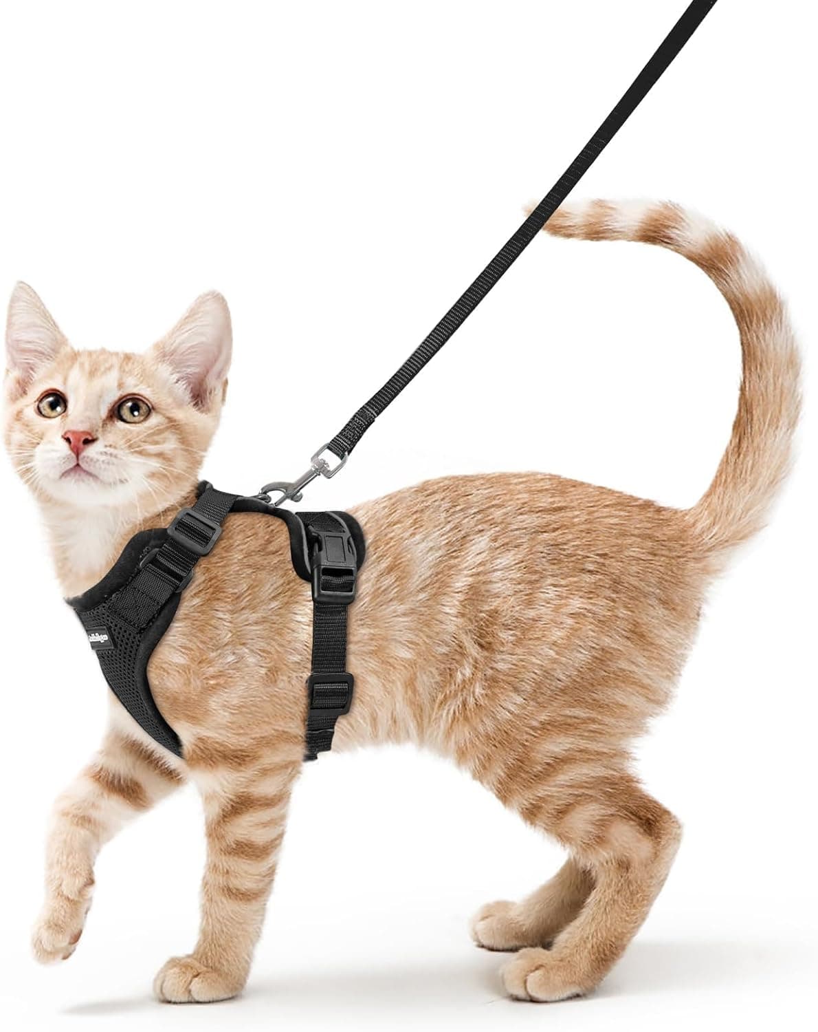 rabbitgoo Cat Harness and Leash Set, Escape Proof Adjustable Mesh Vest with Reflective Strips