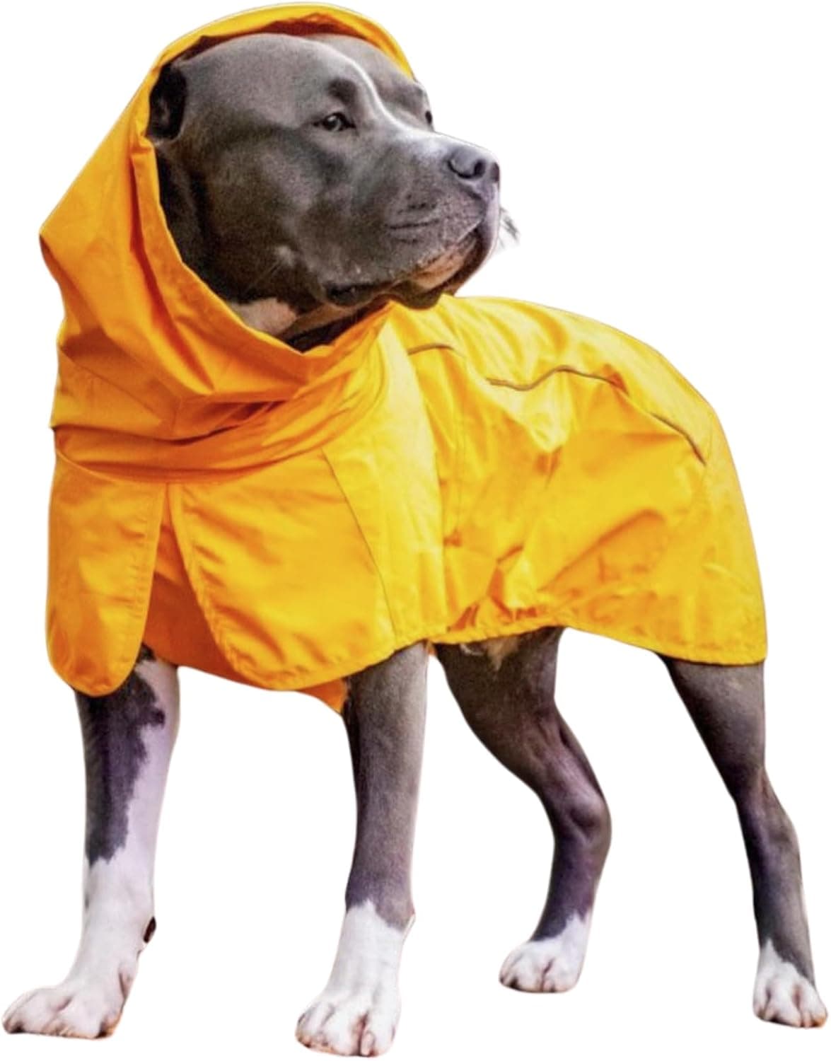 Spark Paws Dog Raincoat, Waterproof Windproof Rain Jacket for Small to Extra Large Dogs, Reflective Breathable Full-Body Coverage Dry Suit, Mustard Yellow